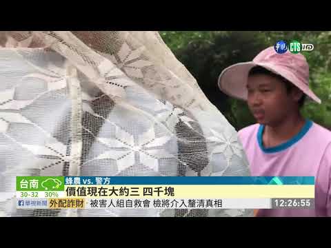 314個蜂箱蜜蜂遭毒殺 業者損失200萬