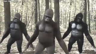 Download lagu DJ CORONA Versi Gorila Goyang Lucu |} Dj Virus Covid-19 Terbaru mp3