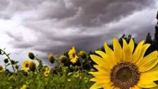 BABYLONIA "Waiting For a Sun"