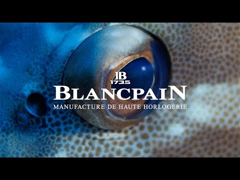 Laurent Ballesta, Wildlife Photographer of the Year - Blancpain Ocean Commitment