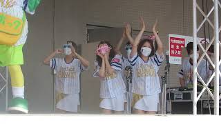 ハニーズ ハニーちゃん誕生日