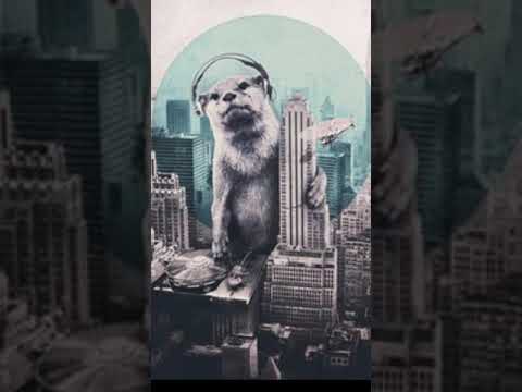 BASS HOUSE MIX THE DIRTY BASS SLAVE VOL.2 BASS HOUSE MIX