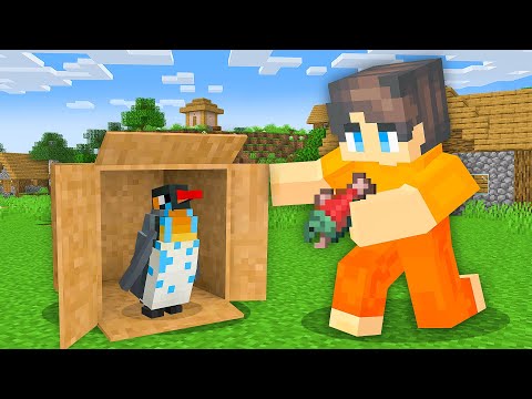 Helping a Lost Baby Penguin