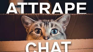 ATTRAPE CHAT