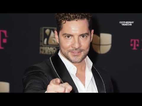 ASÍ  VIVE DAVID BISBAL   POLEMICA TRAS POLEMICA