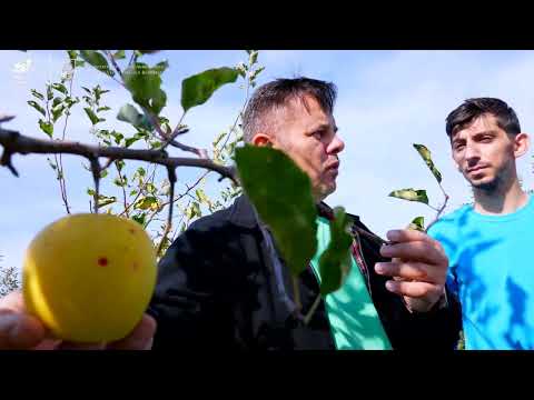 Stațiunea Didactică de Cercetare-Dezvoltare Agronomică Moara Domnească - USAMV București