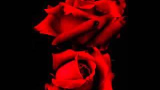 Download lagu 6ixth Sense - Hari Ini Dan Semalam.WMV mp3