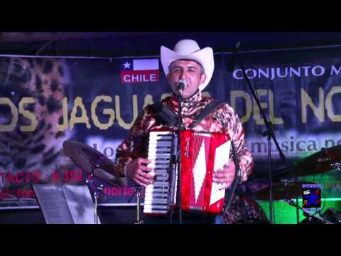 Los Jaguares Del Norte En Vivo - El Perdedor / Tu Juguete