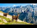 Animals Of Europe 4K Scenic Wildlife Film With Calming Music