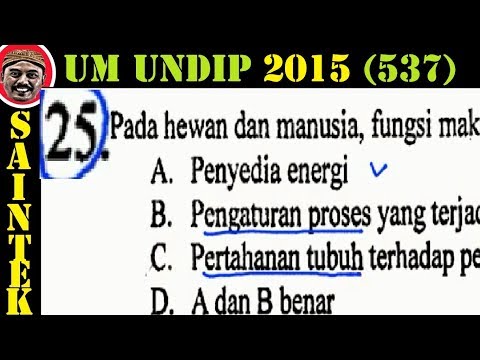 Seperti pil diuretik mempengaruhi potensi Pembesaran penis benar atau tidak