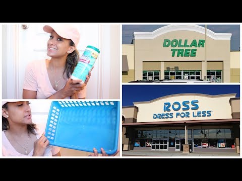 DOLLAR TREE & ROSS HAUL | HOME DECOR & CLEANING Video