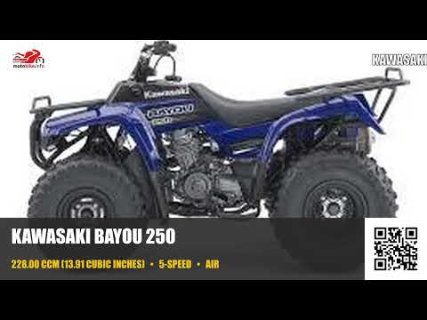 Kawasaki Bayou 250 - Video 1