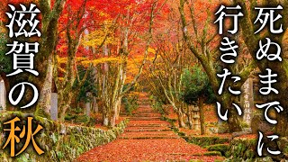 [問題] 11月底中部自駕行程請益