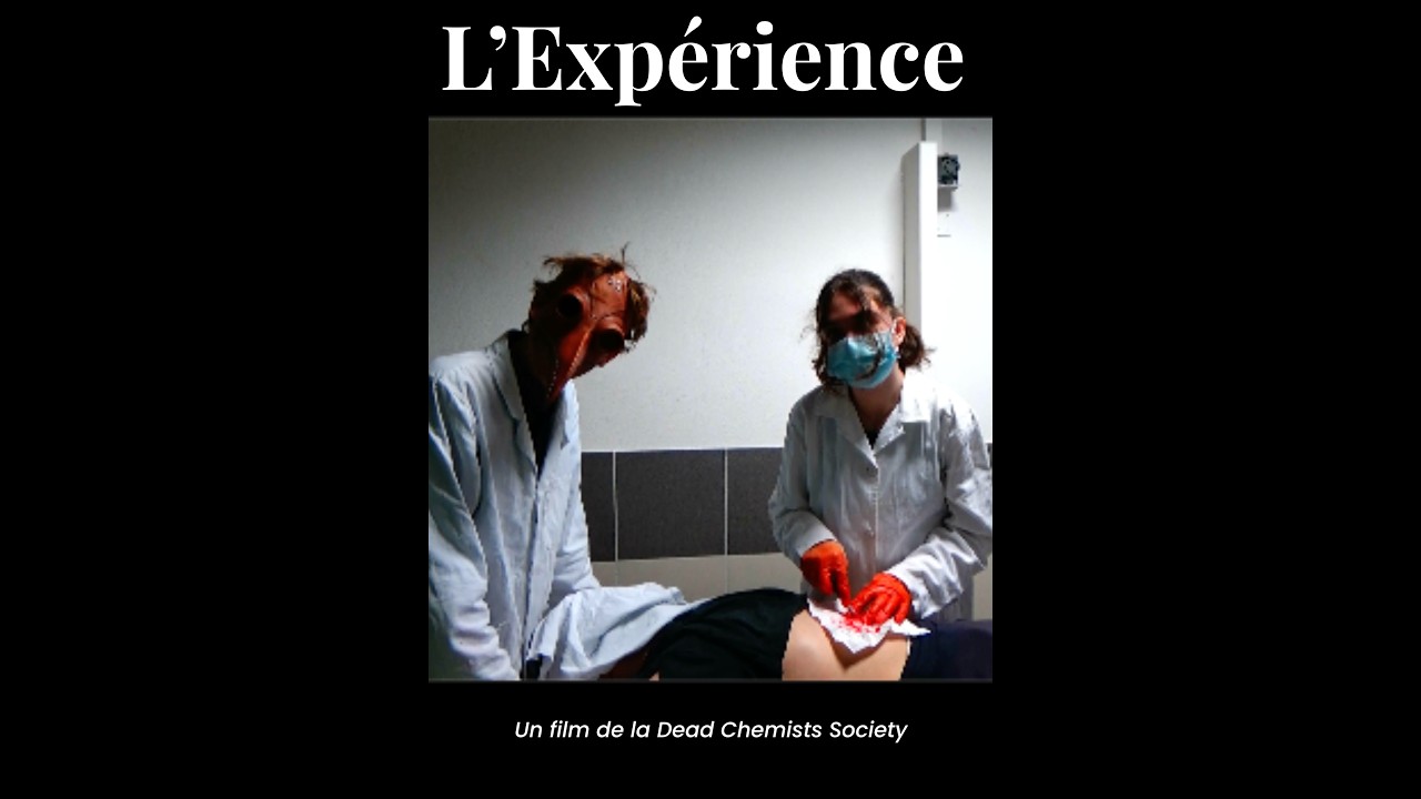 L'experience : la bande annonce