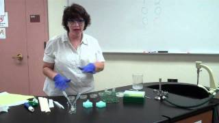 Bacterial Transformation Part 2