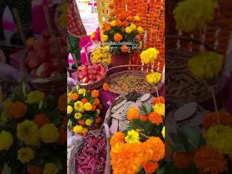 Wedding Planner portfolio by Dr Events in Ahmedabad - Photo 2
