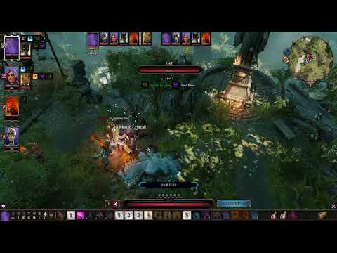 Killing Zaleskar Sebelle's Quest - Tactician - Divinity Original Sin 2 LP #18