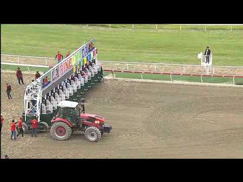 C329 LA RINCONADA CLASICO CRIA NACIONAL 2026, BIG VALDI