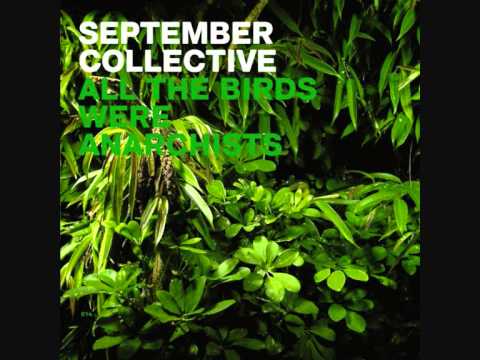 September Collective - Meer