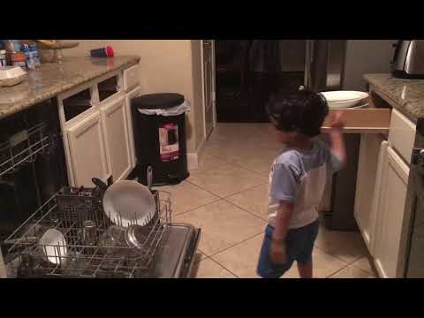 Monomita Ivo dishwasher unloaded