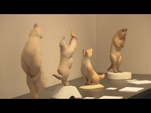 動物たちへの心