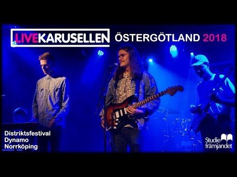 Edvin Greneskog & Molotovmaskinen | Distriksfestival | Livekarusellen Östergötland 2018