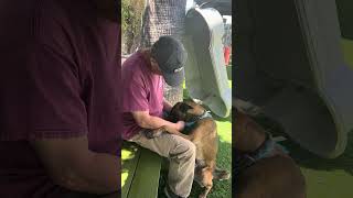 Video preview image #1 Mutt Puppy For Sale in Pasadena, CA, USA