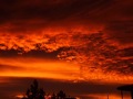 The Light in Your Eyes ~ S. Crow.wmv
