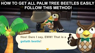 ACNH: Having Trouble Catching Beetles? FOLLOW THIS EASY METHOD!