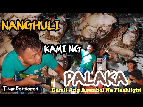 NANGHULI KAMI NG PALAKA GAMIT ANG ASEMBOL NA FLASHLIGHT #catchingfrog #frog #camping