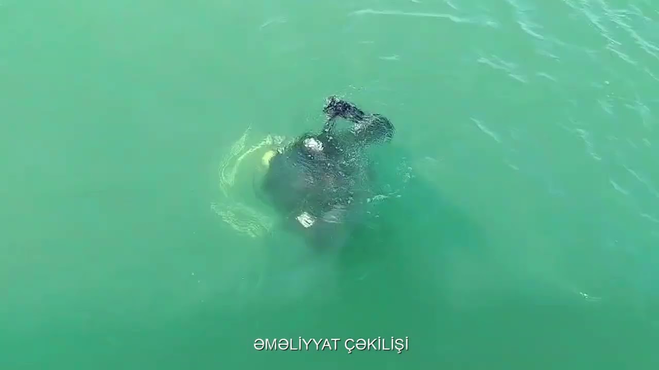 Xəzərdə batan gənclərin axtarışları davam edir VİDEO