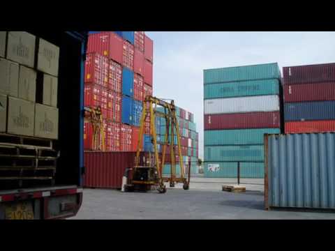 Buzyb Shipping logistics