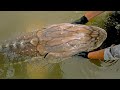Catching a Real River Monster