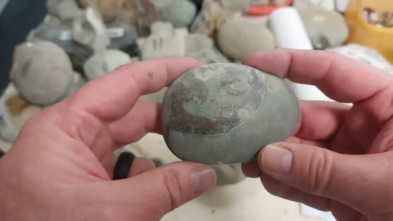 Mamlambo Fossils is live!