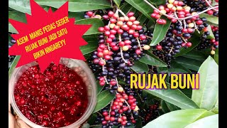 Download lagu ASEM MANIS PEDES SEGER JADI SATU RUJAK BUNI mp3
