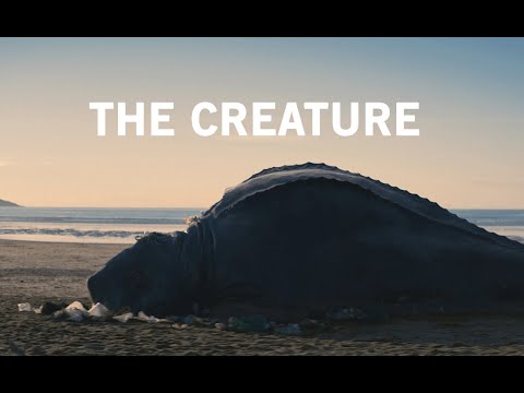 Killed by plastic pollution: unknown animal washes up on Cornwall beach. #TheCreature