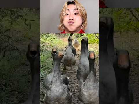 Jun Jun World funny video😂😂😂best TikTok2025#shorts#funny