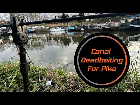 Canal Deadbaiting For Pike