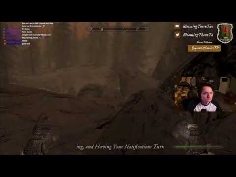 chilling w/TES V: Skyrim-AE