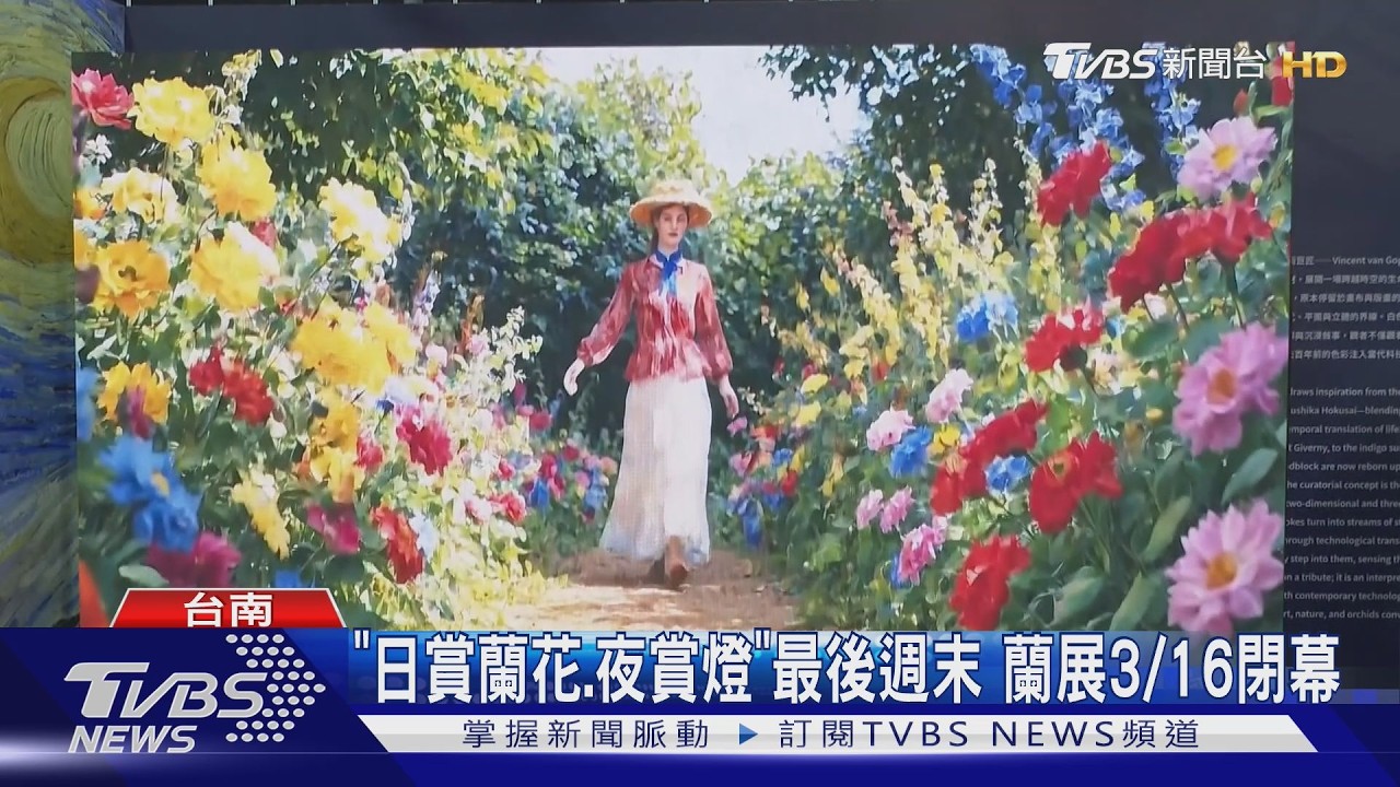 「日賞蘭花、夜賞燈」最後黃金週末!國際蘭展3/16閉幕