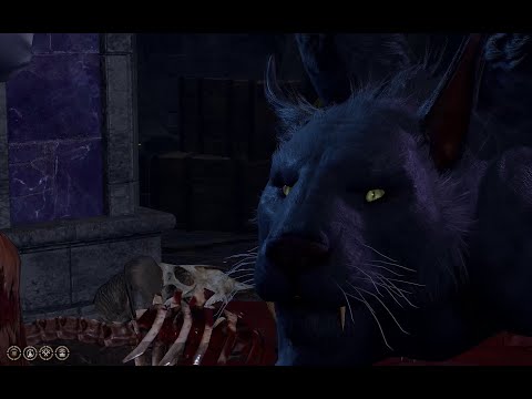 Telling the Displacer Beast the truth