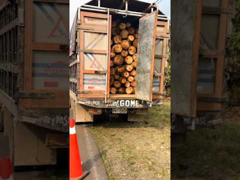 Decomiso de balsa en Los Ríos: el error que te puede hacer perderlo todo #noticiasecuador #losrios