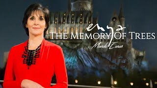 Enya - The Memory Of Trees (Visualizer)