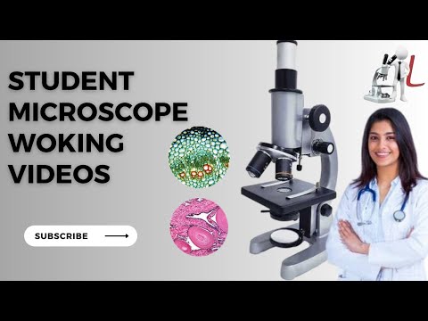 LABPRO Student Compound Microscope (50 Slides  LED LIGHT )