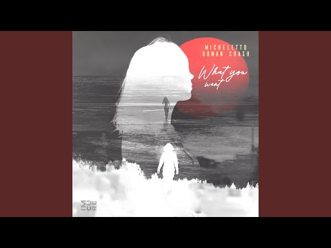 What You Want (Radio Edit)