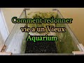 Comment Nettoyer Un Aquarium Très Sale
