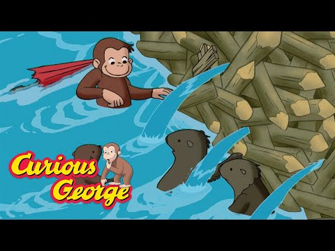 George Builds A Beaver Dam 🐵 Curious George 🐵 Kids Cartoon 🐵 Kids Movies