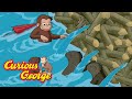 George Builds A Beaver Dam Curious George Kids Cartoon Kids Movies
