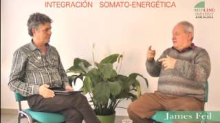 Integración Somato Energética+