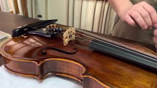 Video thumbnail for VIOLINO EAGLE VK544 by atelier kamroyan